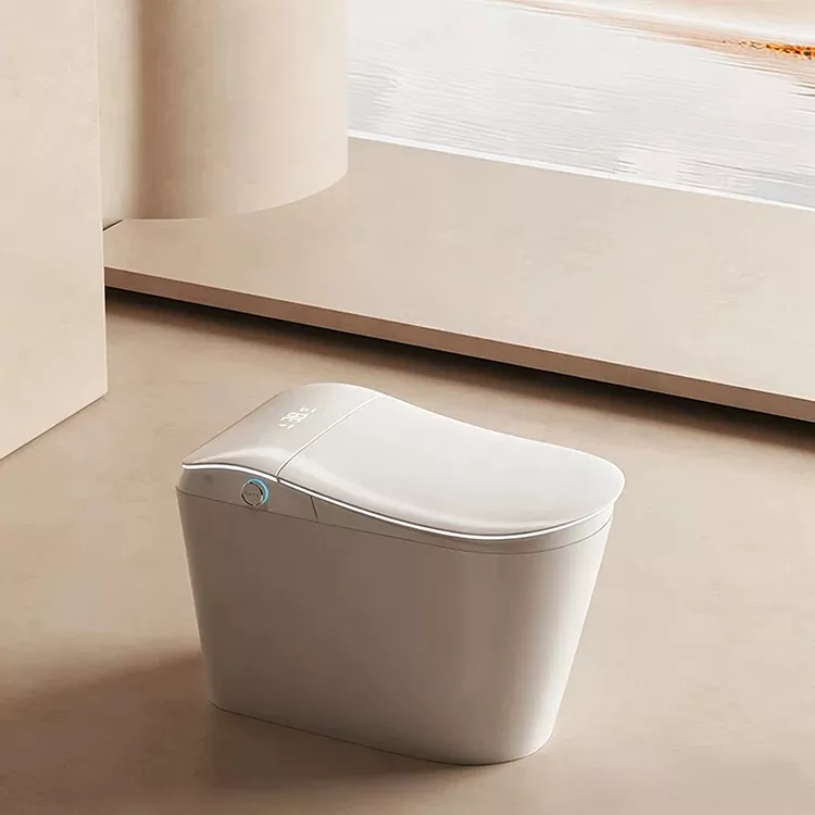 Toilettes intelligentes avec filtre à eau intégré et chasse d'eau activée au pied