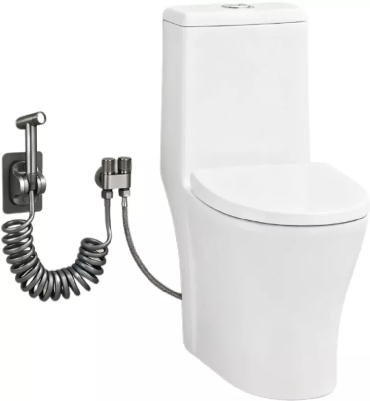 Ensemble de pistolet pulvérisateur pour toilettes mural